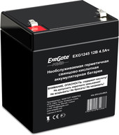    ExeGate Power EXG 1245 (12/4.5 ) [EP212310RUS]
