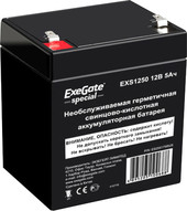    ExeGate Special EXS1250 (12/5 ) [ES255175RUS]