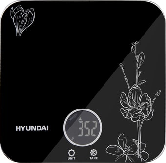   Hyundai HYS-KG421
