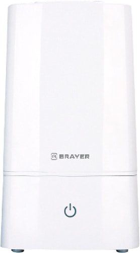   Brayer BR4913